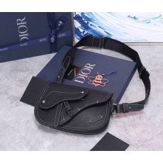 Mens Christian Dior Waist Chest Packs